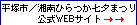 ˎsTCg͂