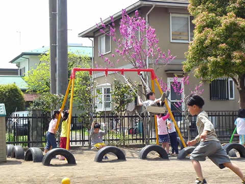 ʐ^15